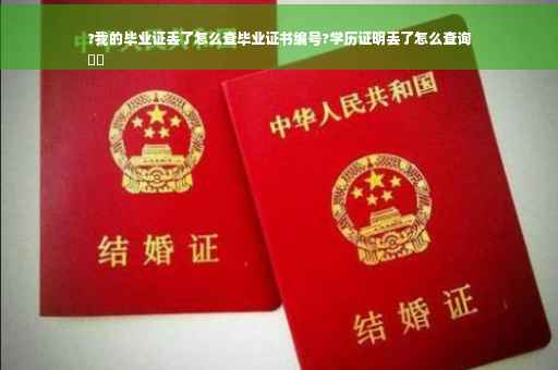 ?我的毕业证丢了怎么查毕业证书编号?学历证明丢了怎么查询
⚡️
