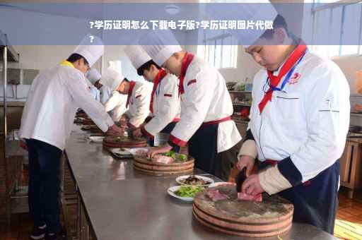 ?学历证明怎么下载电子版?学历证明图片代做
?