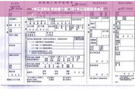 ?学历证明由学校哪个部门开?学历证明到哪去开
?