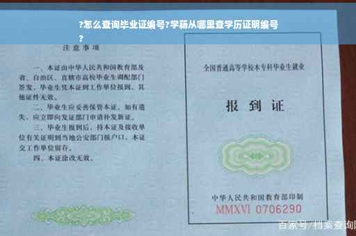?怎么查询毕业证编号?学籍从哪里查学历证明编号
?