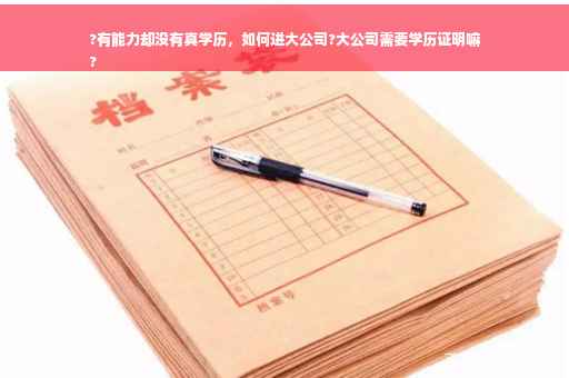 ?有能力却没有真学历，如何进大公司?大公司需要学历证明嘛
?