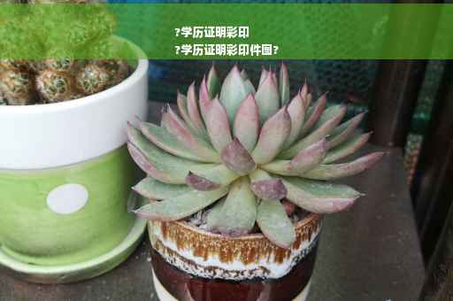 ?学历证明彩印
?学历证明彩印件图?