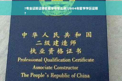 ?专业证照证明名称字号怎么填?2004年留学学历证明
?