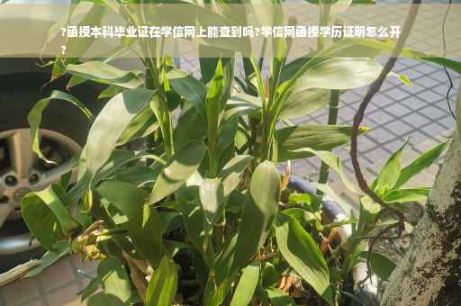 ?函授本科毕业证在学信网上能查到吗?学信网函授学历证明怎么开
?
