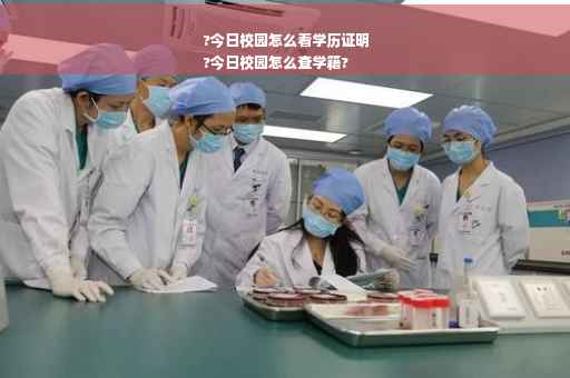 ?今日校园怎么看学历证明
?今日校园怎么查学籍?