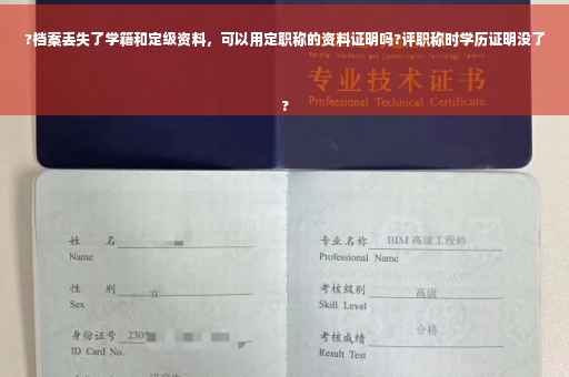 ?档案丢失了学籍和定级资料，可以用定职称的资料证明吗?评职称时学历证明没了
?