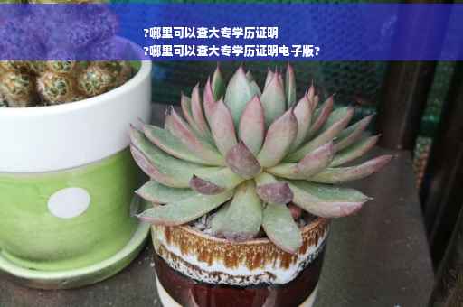 ?哪里可以查大专学历证明
?哪里可以查大专学历证明电子版?