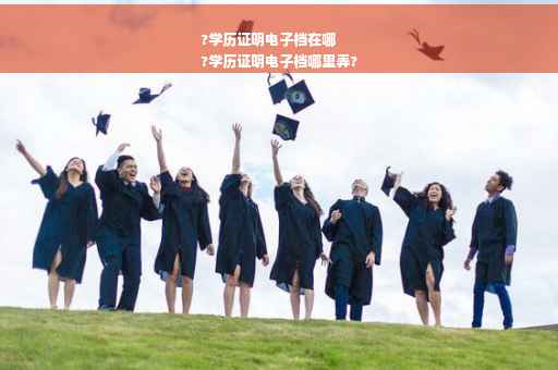 ?学历证明电子档在哪
?学历证明电子档哪里弄?