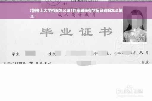?刚考上大学档案怎么填?档案里面有学历证明吗怎么填
⚡️