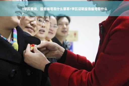 ?学历查询，报告编号是什么意思?学历证明报告编号是什么
?