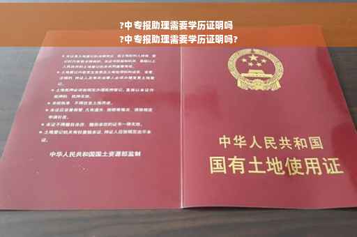 ?中专报助理需要学历证明吗
?中专报助理需要学历证明吗?