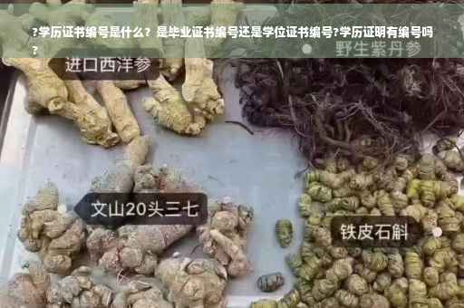 ?学历证书编号是什么？是毕业证书编号还是学位证书编号?学历证明有编号吗
?