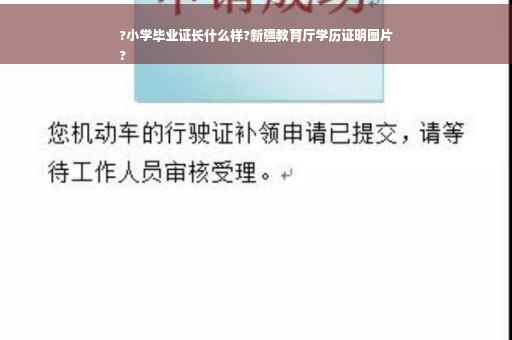 ?小学毕业证长什么样?新疆教育厅学历证明图片
?