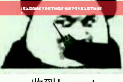 ?怎么查自己的学籍和学历信息?山东学信网怎么查学历证明
?