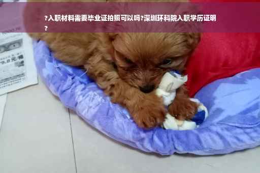 ?入职材料需要毕业证拍照可以吗?深圳环科院入职学历证明
?