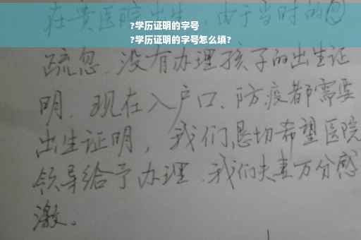 ?学历证明的字号
?学历证明的字号怎么填?