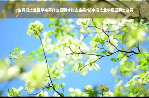 ?当兵没毕业证学校开什么证明才能去当兵?初中没毕业学历证明怎么开
?
