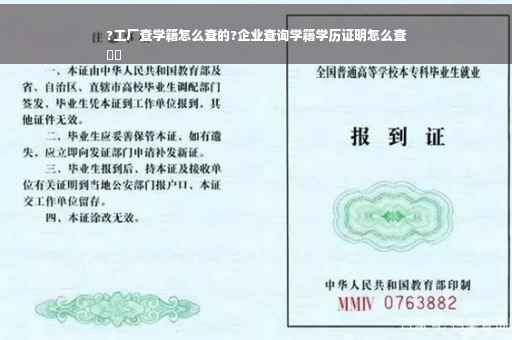 ?工厂查学籍怎么查的?企业查询学籍学历证明怎么查
⚡️