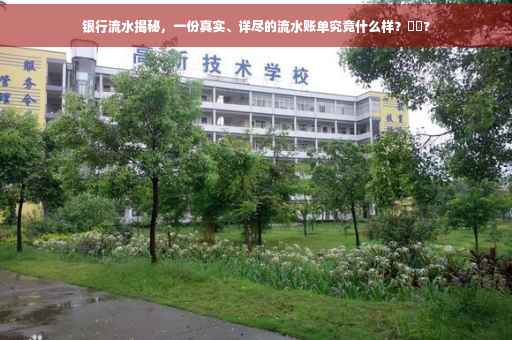 银行流水揭秘，一份真实、详尽的流水账单究竟什么样？⚡️?