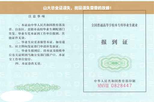 山大毕业证遗失，找回遗失荣誉的攻略！