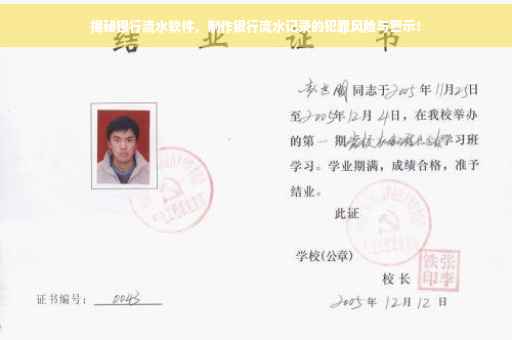 揭秘银行流水软件，制作银行流水记录的犯罪风险与警示！