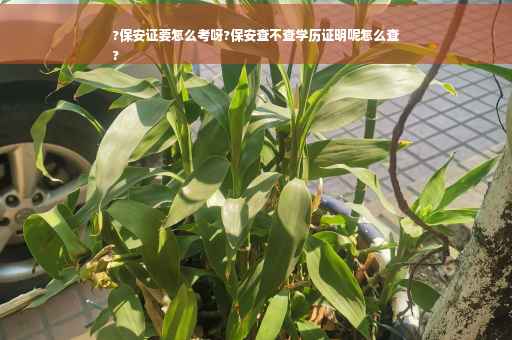?保安证要怎么考呀?保安查不查学历证明呢怎么查
?