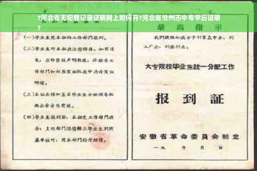 ?河北省无犯罪记录证明网上如何开?河北省沧州市中专学历证明
?
