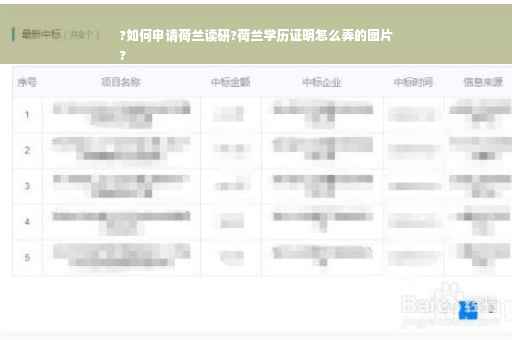 ?如何申请荷兰读研?荷兰学历证明怎么弄的图片
?