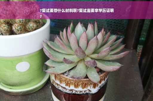 ?复试要带什么材料啊?复试需要拿学历证明
?