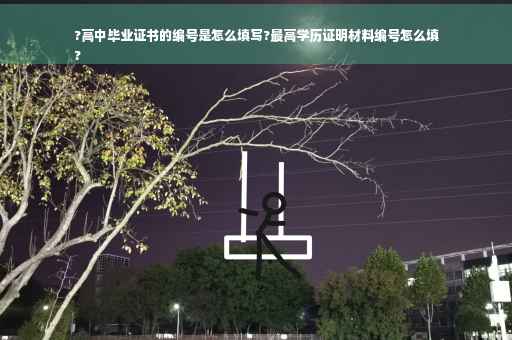 ?高中毕业证书的编号是怎么填写?最高学历证明材料编号怎么填
?
