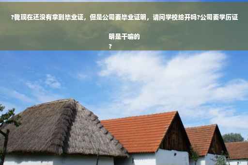 ?我现在还没有拿到毕业证，但是公司要毕业证明，请问学校给开吗?公司要学历证明是干嘛的
?