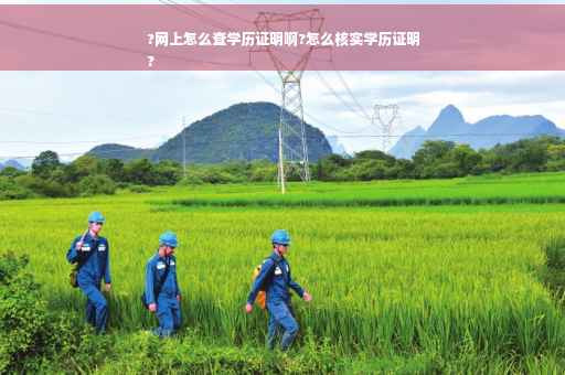 ?网上怎么查学历证明啊?怎么核实学历证明
?