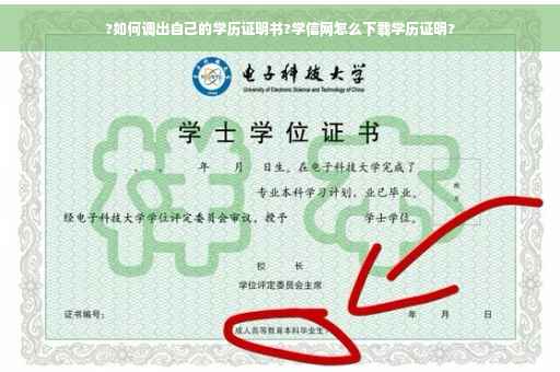 ?如何调出自己的学历证明书?学信网怎么下载学历证明?