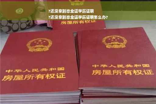 ?还没拿到毕业证学历证明
?还没拿到毕业证学历证明怎么办?