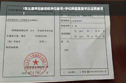 ?怎么查学历编号和学位编号?学位网哪里查学历证明编号
?