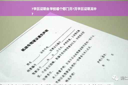 ?学历证明由学校哪个部门开?开学历证明高中
?