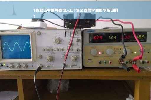 ?毕业证书编号查询入口?怎么查留学生的学历证明
?