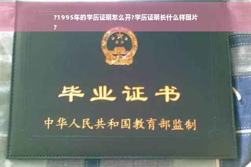 ?1995年的学历证明怎么开?学历证明长什么样图片
?