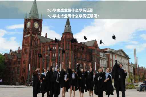 ?小学未毕业写什么学历证明
?小学未毕业写什么学历证明呢?