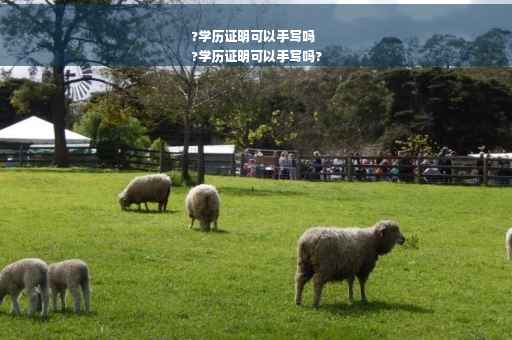 ?学历证明可以手写吗
?学历证明可以手写吗?