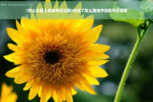 ?怎么在网上查询学历证明?毕业了怎么查询学信网学历证明
?