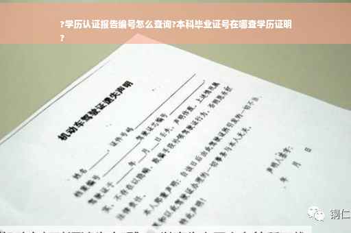?学历认证报告编号怎么查询?本科毕业证号在哪查学历证明
?