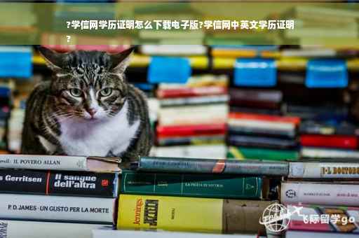 ?学信网学历证明怎么下载电子版?学信网中英文学历证明
?