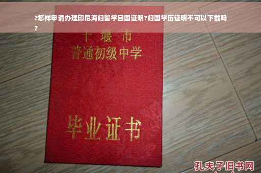 ?怎样申请办理印尼海归留学回国证明?归国学历证明不可以下载吗
?