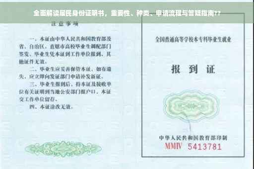 全面解读居民身份证明书，重要性、种类、申请流程与答疑指南??
