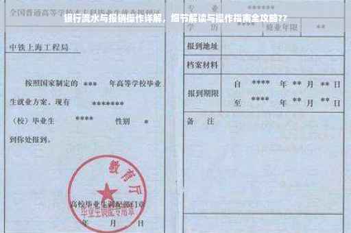 银行流水与报销操作详解，细节解读与操作指南全攻略??