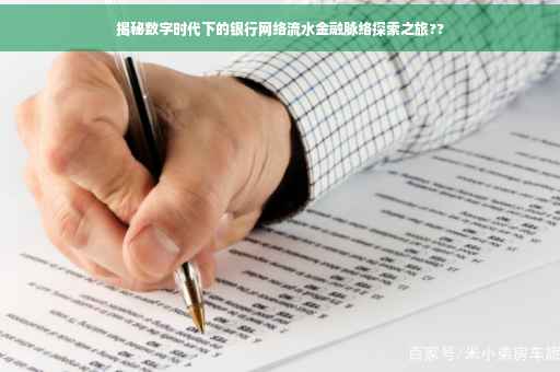 揭秘数字时代下的银行网络流水金融脉络探索之旅??