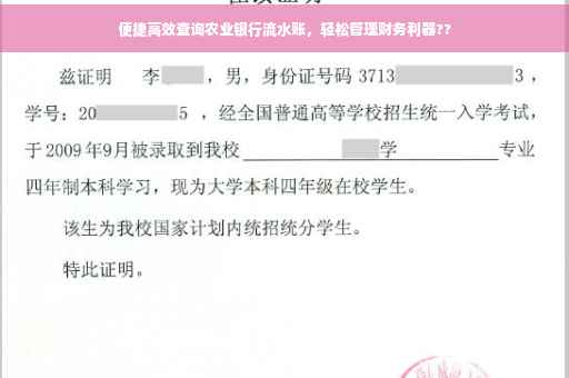 便捷高效查询农业银行流水账，轻松管理财务利器??