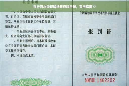 银行流水错误解析与应对手册，实用指南??