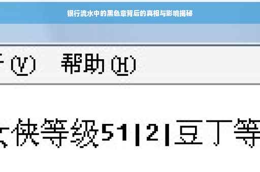 银行流水中的黑色章背后的真相与影响揭秘